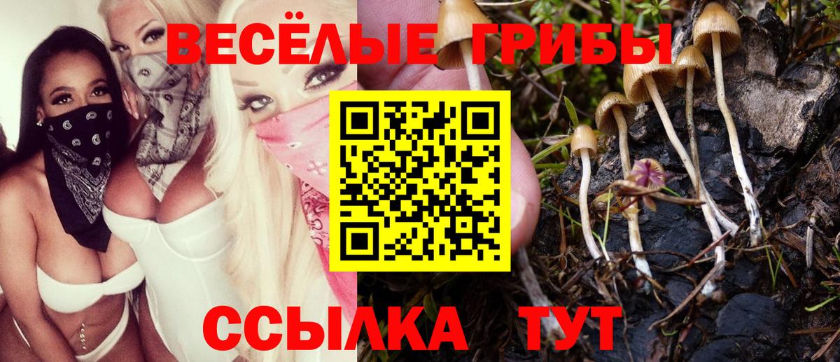 Оренбург  Псилоцибиновые грибы мухоморы  Вход с VPN 