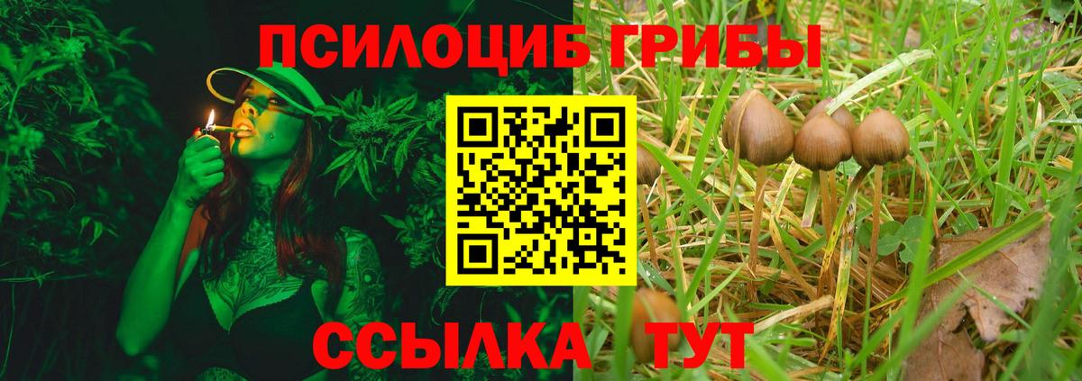 Галлюциногенные грибы ЛСД Оренбург